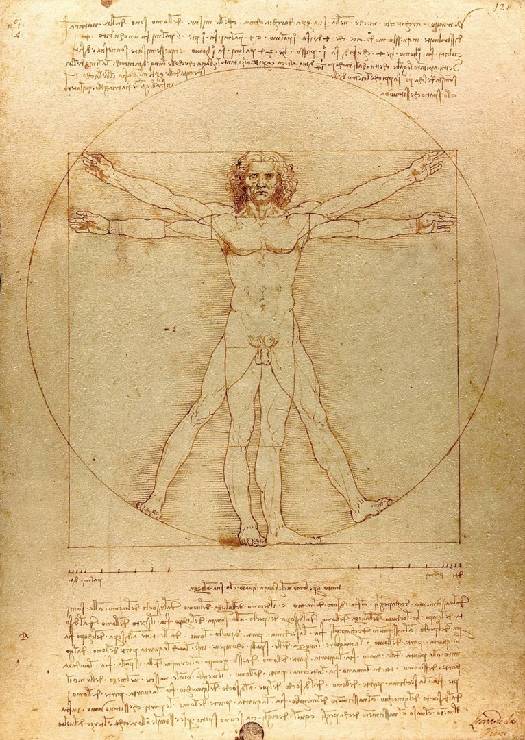 rompecabezas de 1000 piezas El hombre de Vitruvio, Leonardo da Vinci